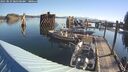./images/quadra/hbidock/20250823/hbidock20250823_085500M.jpg