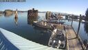 ./images/quadra/hbidock/20250823/hbidock20250823_085511M.jpg
