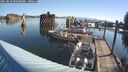 ./images/quadra/hbidock/20250823/hbidock20250823_090000M.jpg