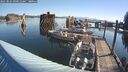 ./images/quadra/hbidock/20250823/hbidock20250823_090012M.jpg