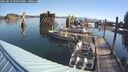 ./images/quadra/hbidock/20250823/hbidock20250823_093000M.jpg