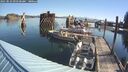 ./images/quadra/hbidock/20250823/hbidock20250823_093500M.jpg