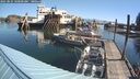 ./images/quadra/hbidock/20250823/hbidock20250823_100000M.jpg