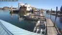 ./images/quadra/hbidock/20250823/hbidock20250823_100011M.jpg