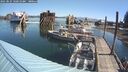 ./images/quadra/hbidock/20250823/hbidock20250823_102010M.jpg