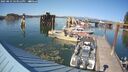 ./images/quadra/hbidock/20250823/hbidock20250823_163011M.jpg