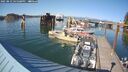 ./images/quadra/hbidock/20250823/hbidock20250823_165508M.jpg