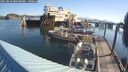 ./images/quadra/hbidock/20250824/hbidock20250824_085509M.jpg