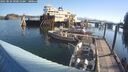 ./images/quadra/hbidock/20250824/hbidock20250824_090012M.jpg