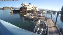 ./images/quadra/hbidock/20250824/hbidock20250824_090500M.jpg