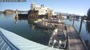 ./images/quadra/hbidock/20250824/hbidock20250824_092500M.jpg