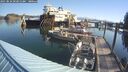 ./images/quadra/hbidock/20250824/hbidock20250824_093012M.jpg