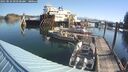 ./images/quadra/hbidock/20250824/hbidock20250824_093500M.jpg