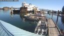 ./images/quadra/hbidock/20250824/hbidock20250824_095000M.jpg