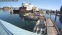 ./images/quadra/hbidock/20250824/hbidock20250824_095500M.jpg