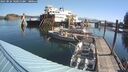 ./images/quadra/hbidock/20250824/hbidock20250824_100012M.jpg