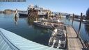./images/quadra/hbidock/20250824/hbidock20250824_101011M.jpg