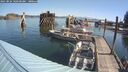 ./images/quadra/hbidock/20250824/hbidock20250824_102500M.jpg