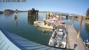 ./images/quadra/hbidock/20250824/hbidock20250824_164011M.jpg