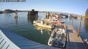 ./images/quadra/hbidock/20250824/hbidock20250824_180500M.jpg
