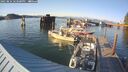 ./images/quadra/hbidock/20250824/hbidock20250824_183500M.jpg