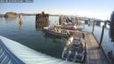 ./images/quadra/hbidock/20250825/hbidock20250825_091011M.jpg