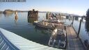 ./images/quadra/hbidock/20250825/hbidock20250825_091511M.jpg