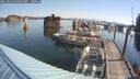 ./images/quadra/hbidock/20250825/hbidock20250825_094010M.jpg
