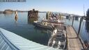 ./images/quadra/hbidock/20250825/hbidock20250825_094500M.jpg