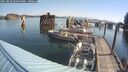 ./images/quadra/hbidock/20250825/hbidock20250825_095000M.jpg