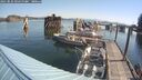 ./images/quadra/hbidock/20250825/hbidock20250825_095500M.jpg