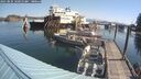 ./images/quadra/hbidock/20250825/hbidock20250825_101010M.jpg
