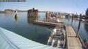 ./images/quadra/hbidock/20250825/hbidock20250825_104500M.jpg