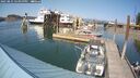 ./images/quadra/hbidock/20250825/hbidock20250825_154000M.jpg