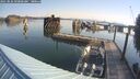 ./images/quadra/hbidock/20250826/hbidock20250826_092000M.jpg
