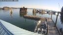 ./images/quadra/hbidock/20250826/hbidock20250826_092500M.jpg