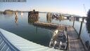 ./images/quadra/hbidock/20250826/hbidock20250826_092510M.jpg