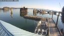 ./images/quadra/hbidock/20250826/hbidock20250826_093000M.jpg