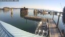 ./images/quadra/hbidock/20250826/hbidock20250826_093012M.jpg