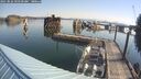 ./images/quadra/hbidock/20250826/hbidock20250826_093509M.jpg