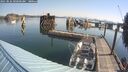 ./images/quadra/hbidock/20250826/hbidock20250826_095000M.jpg