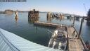 ./images/quadra/hbidock/20250826/hbidock20250826_101500M.jpg