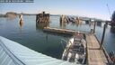 ./images/quadra/hbidock/20250826/hbidock20250826_101509M.jpg