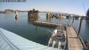 ./images/quadra/hbidock/20250826/hbidock20250826_103500M.jpg