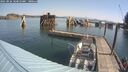 ./images/quadra/hbidock/20250826/hbidock20250826_104010M.jpg