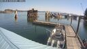 ./images/quadra/hbidock/20250826/hbidock20250826_104500M.jpg