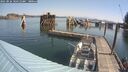 ./images/quadra/hbidock/20250826/hbidock20250826_104511M.jpg
