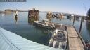 ./images/quadra/hbidock/20250826/hbidock20250826_110012M.jpg