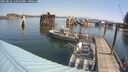 ./images/quadra/hbidock/20250826/hbidock20250826_110510M.jpg