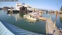 ./images/quadra/hbidock/20250826/hbidock20250826_165008M.jpg